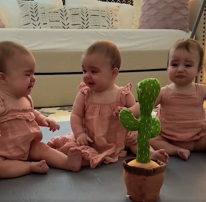 Toddlers Hilariously React To The Trending Imitating Cactus Toy