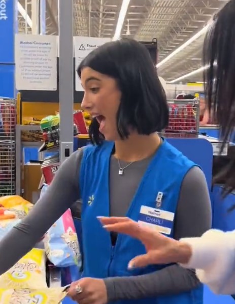 D’Amelio Sisters Face Backlash After ‘Cosplaying’ As Walmart Cashiers
