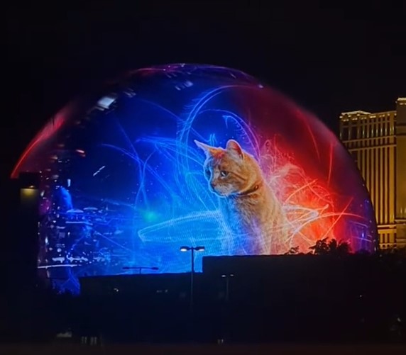 TikToker Shares Video Of New Ad On The Las Vegas Sphere Featuring Goose From ‘The Marvels’