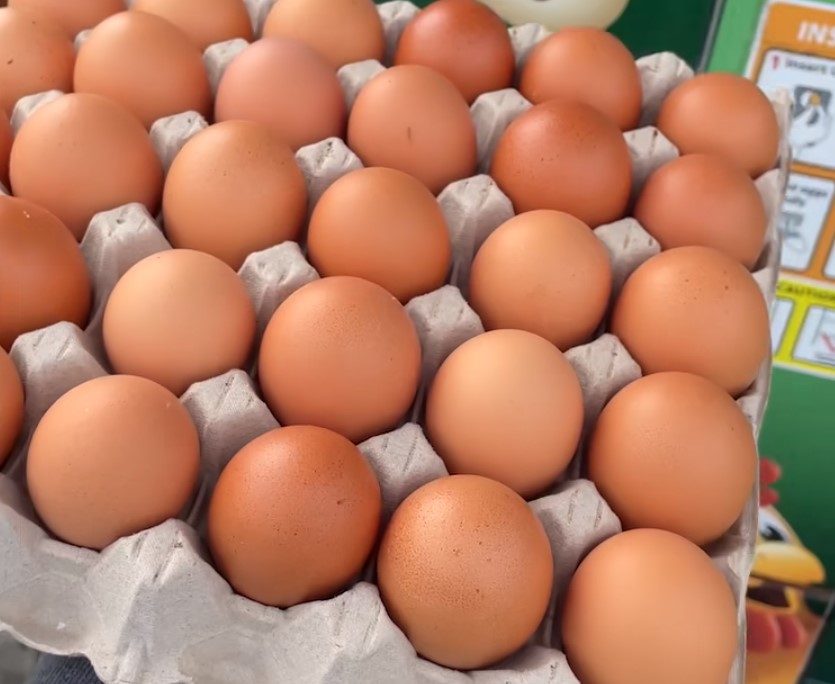 Egg Vending Machine In Ireland Sells 30 Free-Range Eggs For Just $7